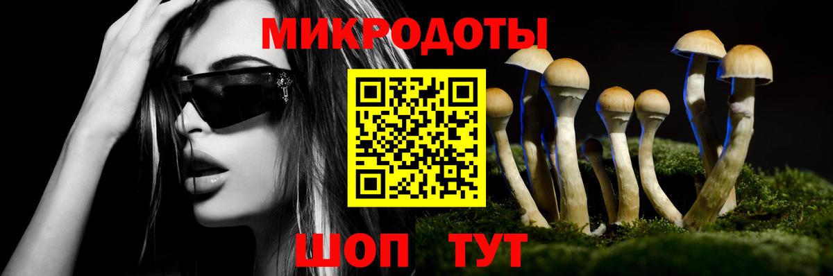 Галлюциногенные грибы Psilocybe  хочу наркоту  Абакан  Вход с VPN 