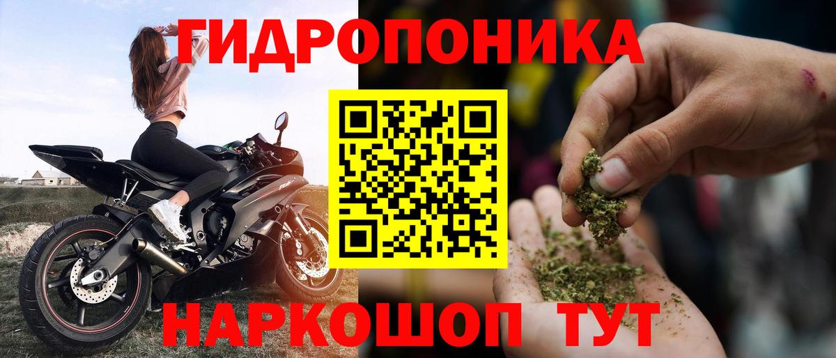Конопля марихуана Абакан